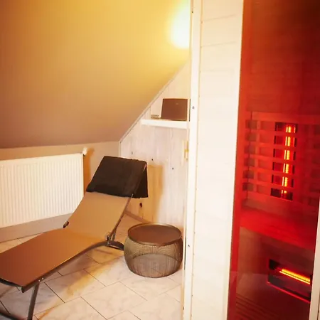 Spacious Mansion In With Sauna