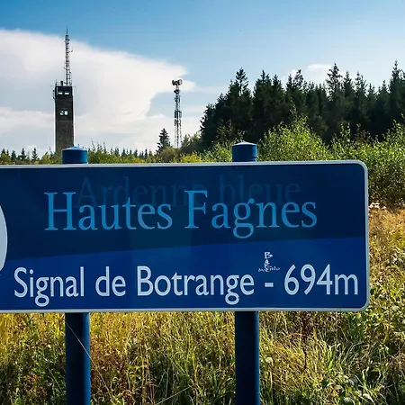 Spacious Mansion In With Sauna