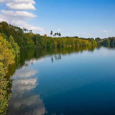 Spacious Mansion In With Sauna